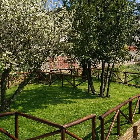 Langhe Harmonia
